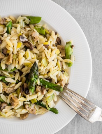 Close up of asparagus risotto